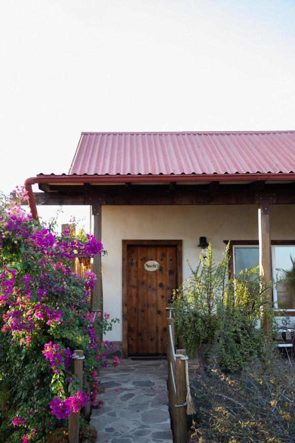 ואלה דה גוואדלופה Terra Del Valle Bed & Breakfast מראה חיצוני תמונה